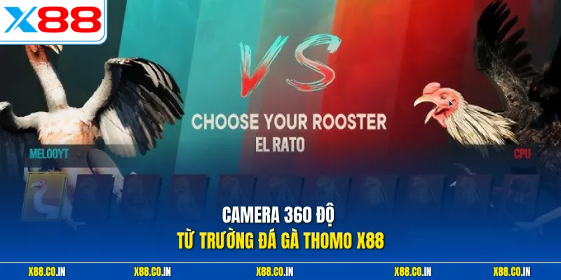 Camera 360 độ từ trường đá gà Thomo X88