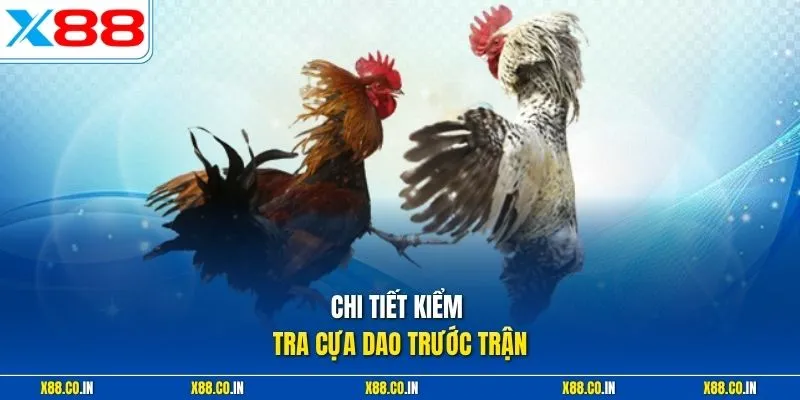 Chi tiết kiểm tra cựa dao trước trận