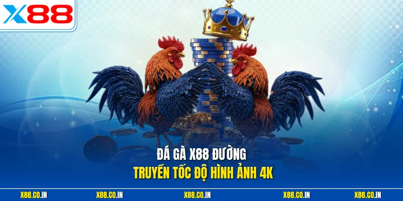 Đá gà X88 đường truyền tốc độ hình ảnh 4K