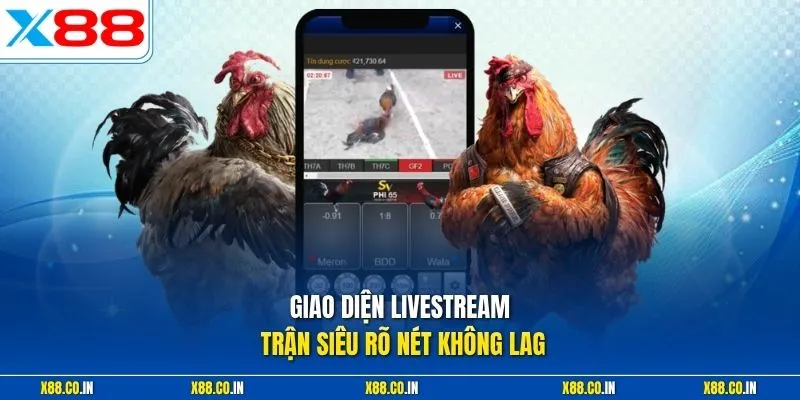 Giao diện livestream trận siêu rõ nét không lag