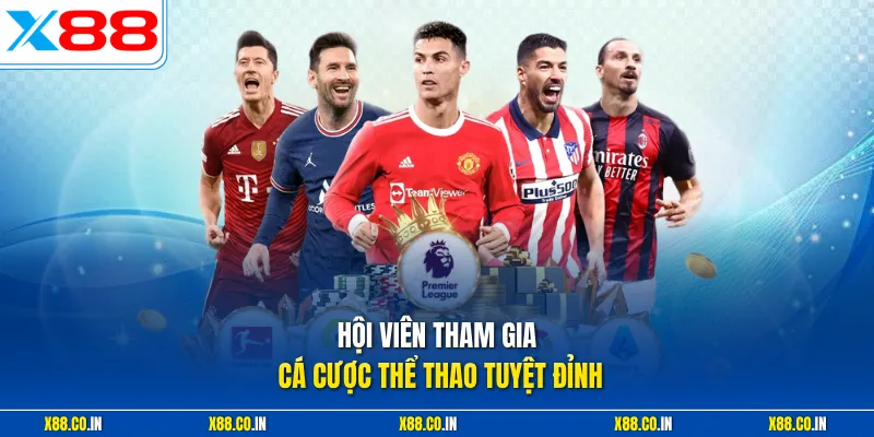 Hội viên tham gia cá cược thể thao tuyệt đỉnh