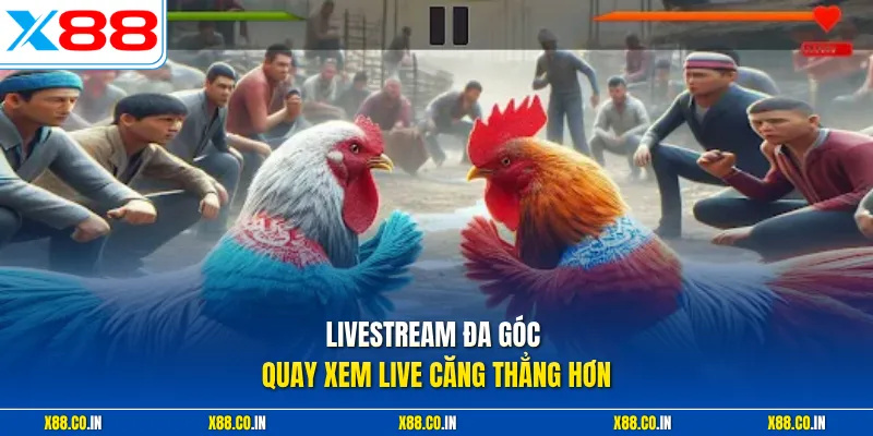 Livestream đa góc quay xem live căng thẳng hơn