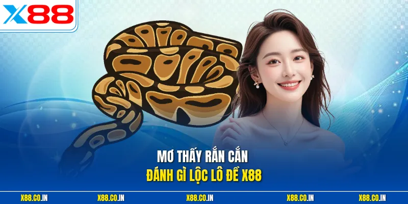 Mơ thấy rắn cắn đánh gì lộc lô đề X88