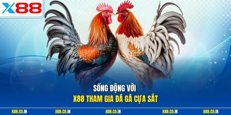 Sống động với X88 tham gia đá gà cựa sắt
