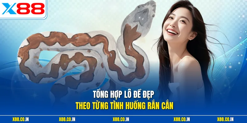 Tổng hợp lô đề đẹp theo từng tình huống rắn cắn