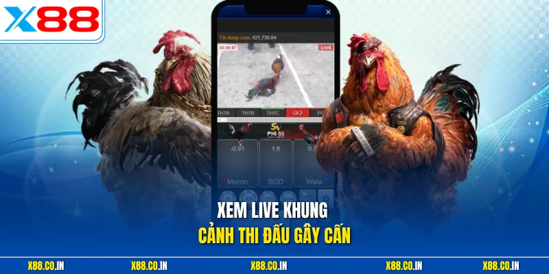 Xem live khung cảnh thi đấu gây cấn